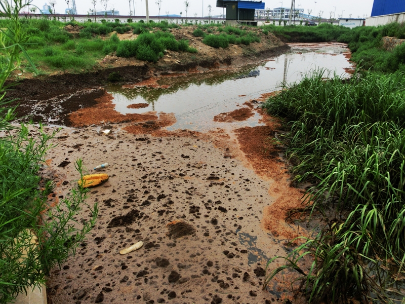 生物毒性分析儀監測受污染環境的生物毒性
