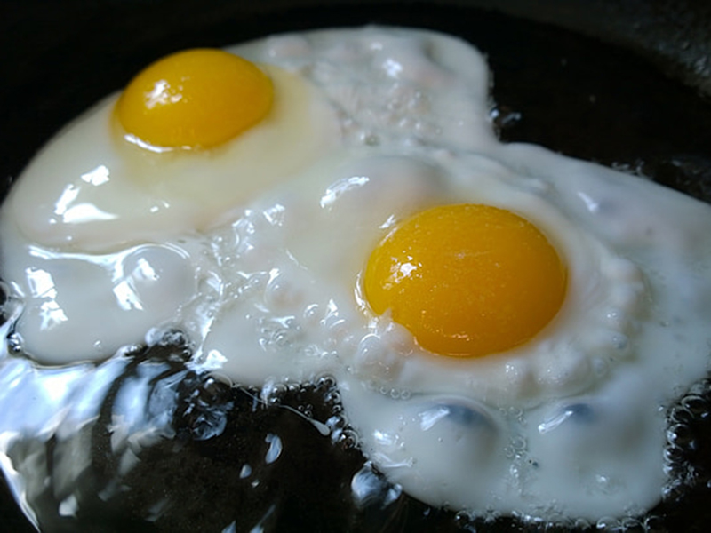 蛋白質(zhì)檢測儀適合現(xiàn)場及實驗室使用