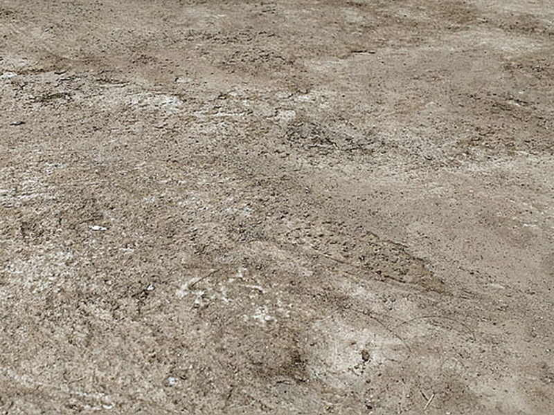 土壤鹽化對種植作物有怎樣的影響？