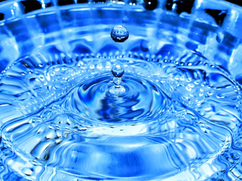 總氮 總氮
