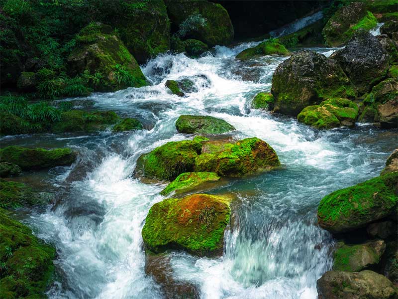 水質檢測總氮標準 水質檢測總氮標準