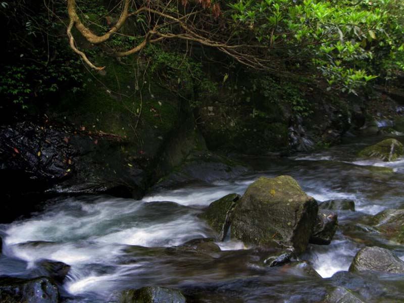 氨氮在線監(jiān)測儀原理 氨氮在線監(jiān)測儀原理