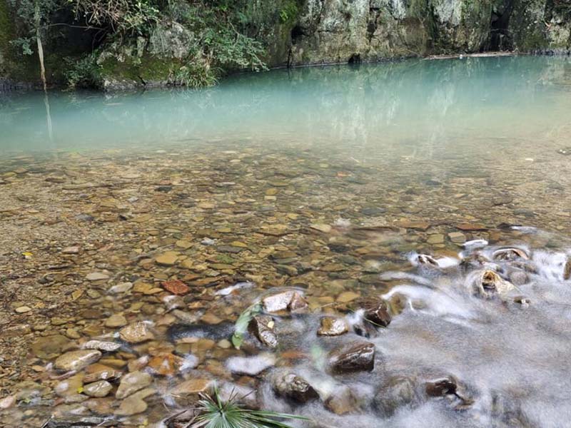 地表水水質檢測標準限值是多少 地表水水質檢測標準限值是多少