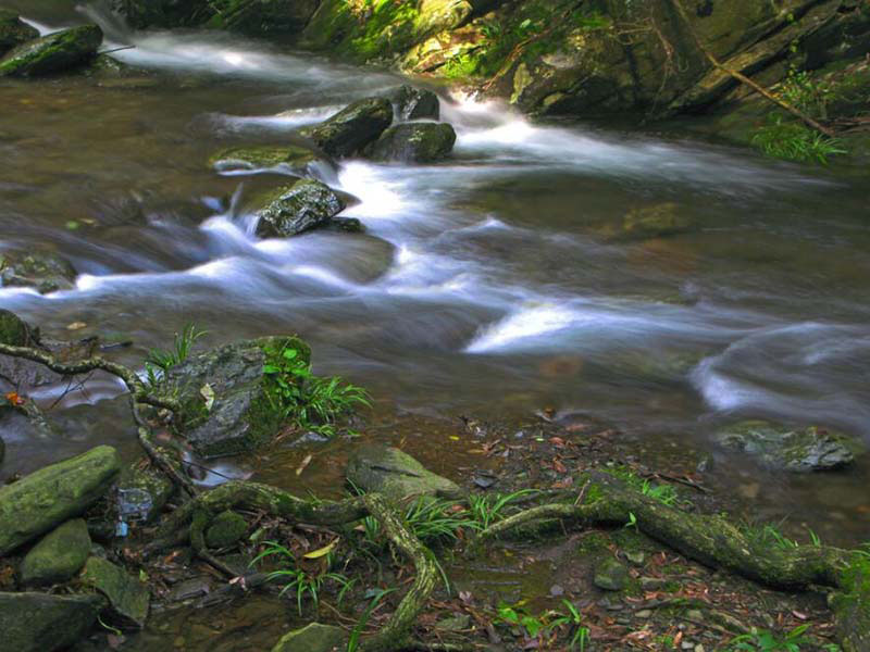 總氮測定儀為什么用220nm和275nm兩個波長