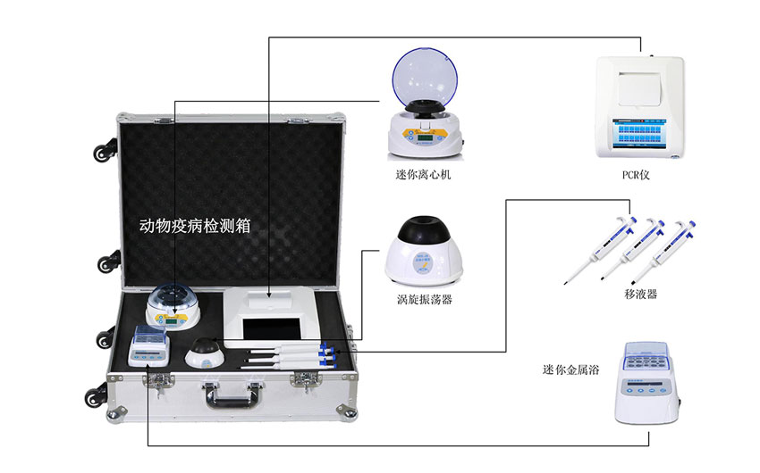 非洲豬瘟快速檢測儀 非洲豬瘟快速檢測儀