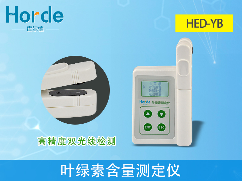 葉綠素測定儀檢測植物的成長趨勢