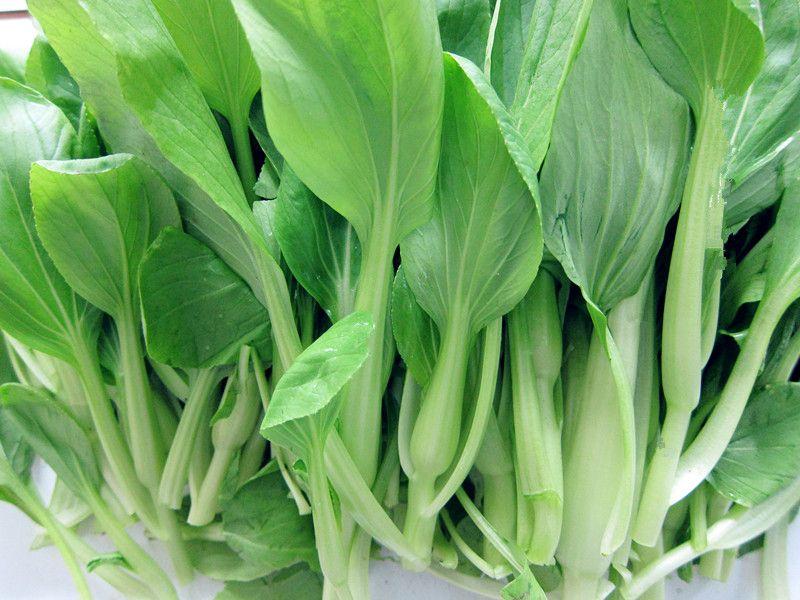 蔬菜農(nóng)殘檢測(cè)設(shè)備，讓蔬菜更“綠色”