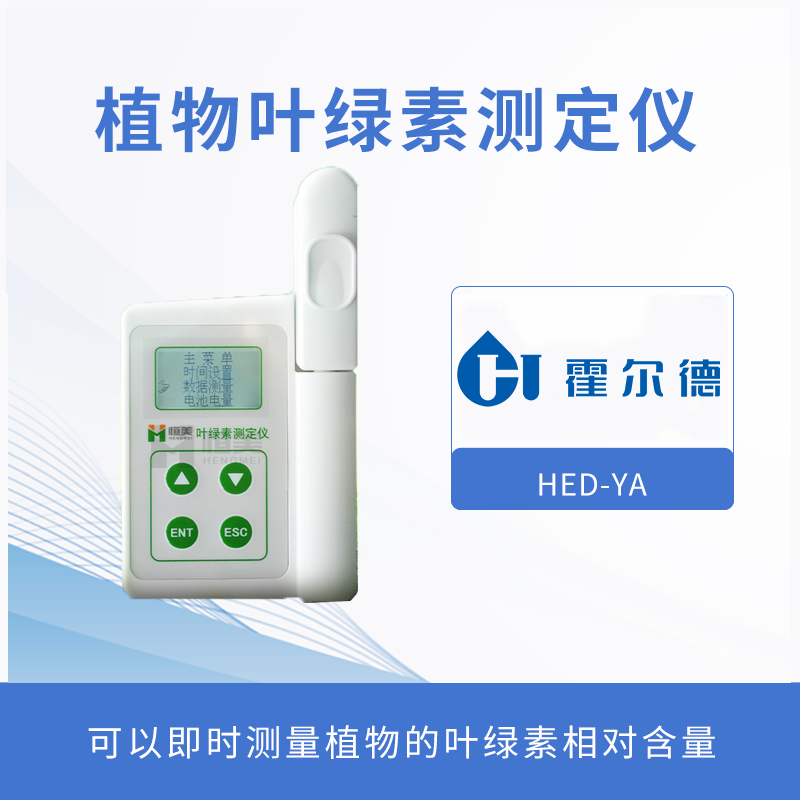 植物生長所需要的條件有哪些