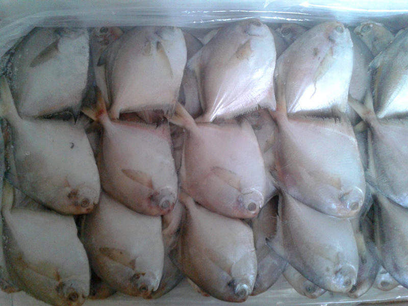 水產品快速檢測系統可檢測哪些